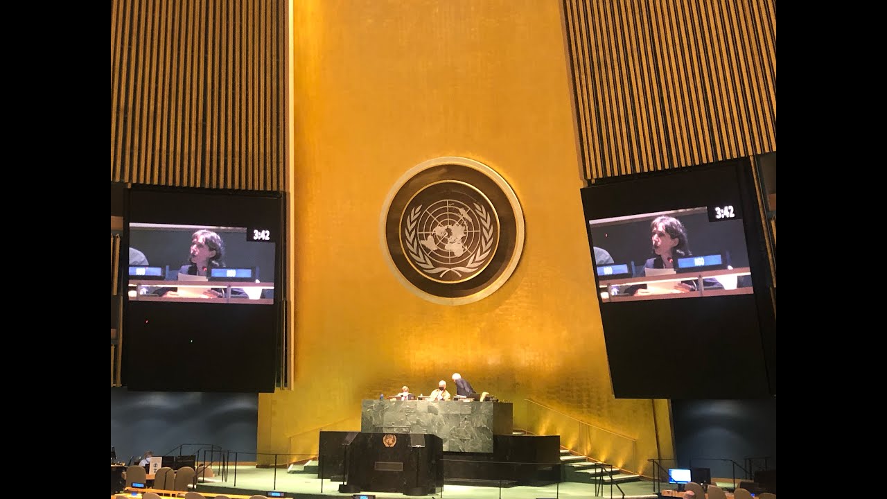 NAPF Statement to the 10th NPT Review Conference