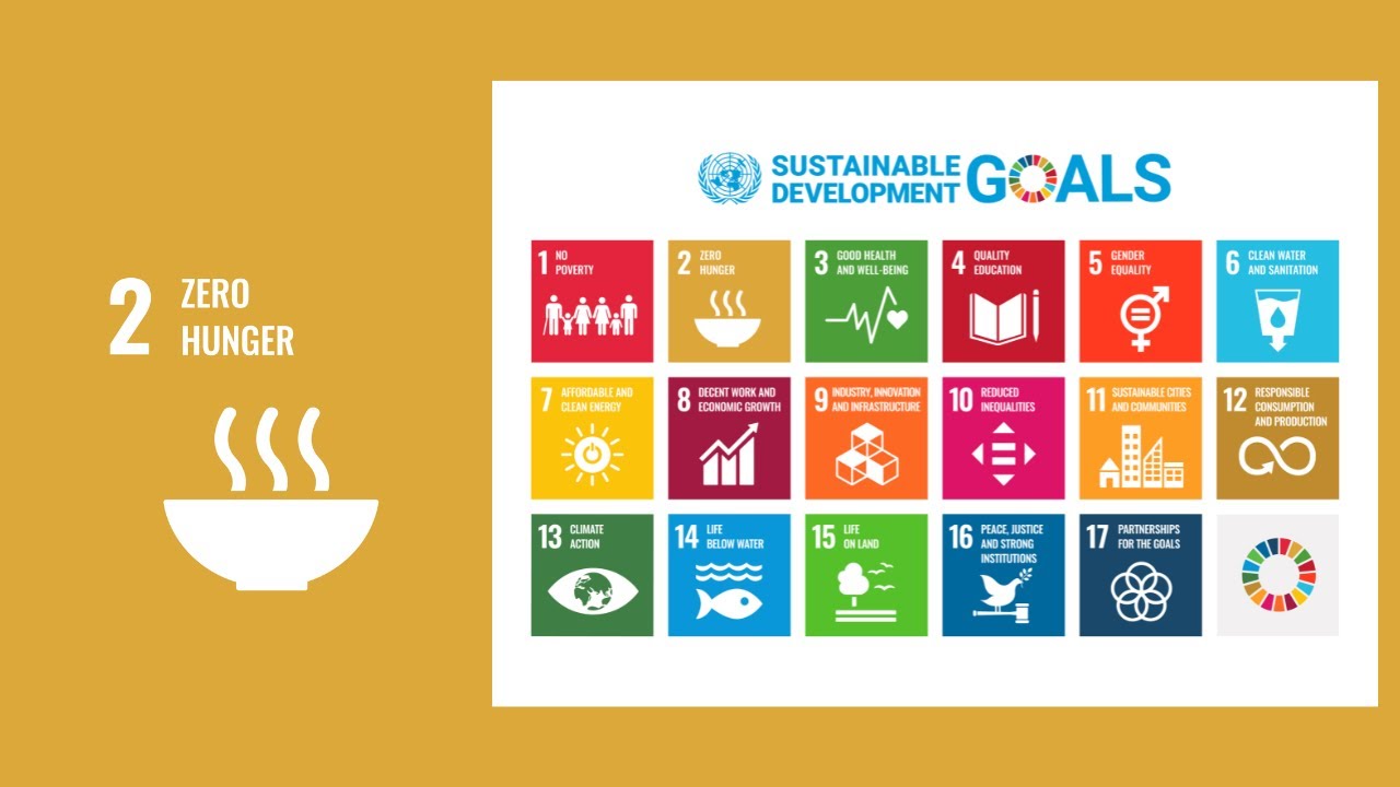 SDG 2: Zero Hunger Explained &ndash; Why Ending Hunger Matters for Everyone!