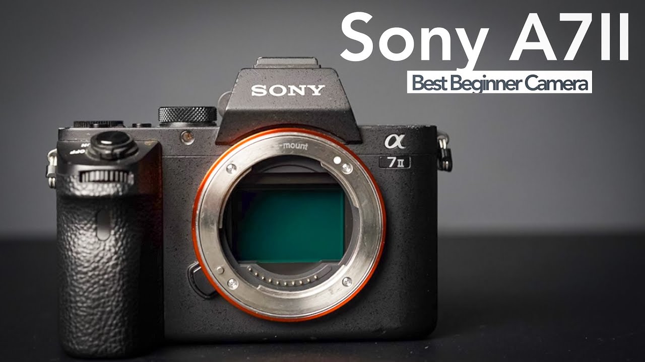 Why the Sony A7II is the best beginner Full Frame Camera in 2024 and not the A7III - 4K