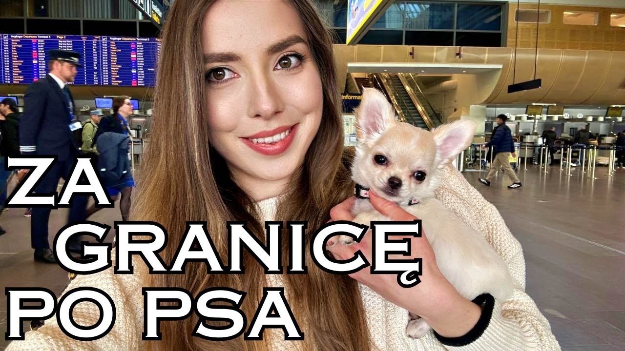 Mój nowy piesek – poleciałam za granicę, żeby go mieć!