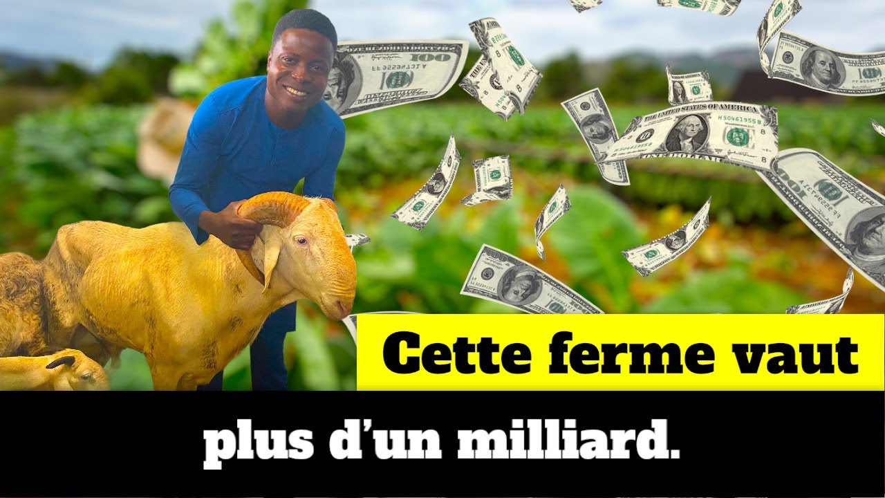 Cette ferme vaut plus d'un milliard.