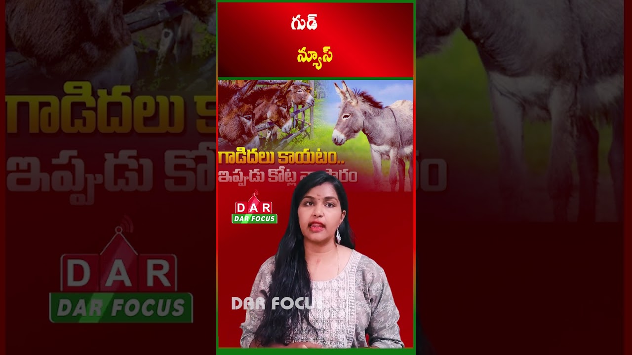 50% Subsidy for Donkey Farming Under National Livestock Mission | Latest updates | DAR FOCUS
