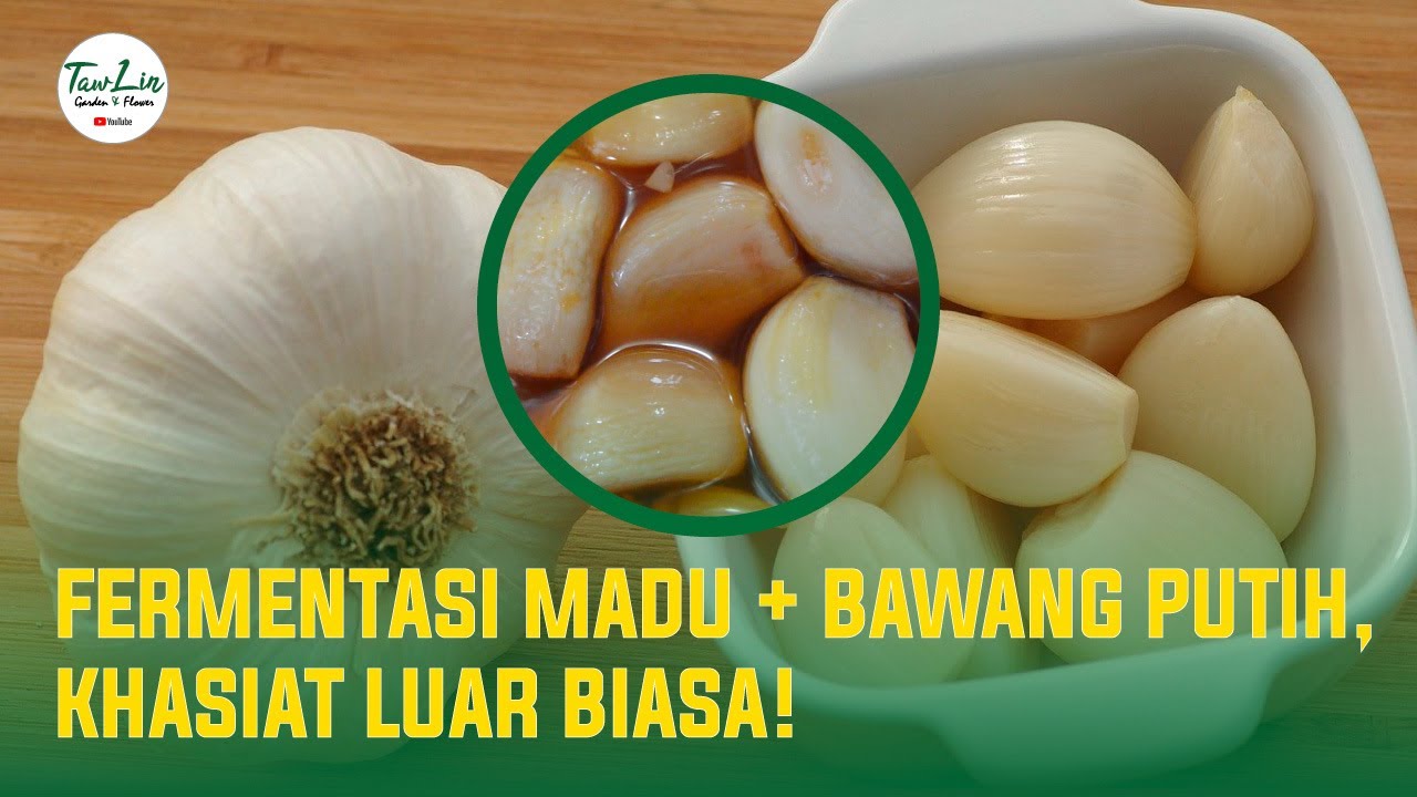 Ternyata Fermentasi Madu dan Bawang Putih Banyak Manfaat, Penasaran?