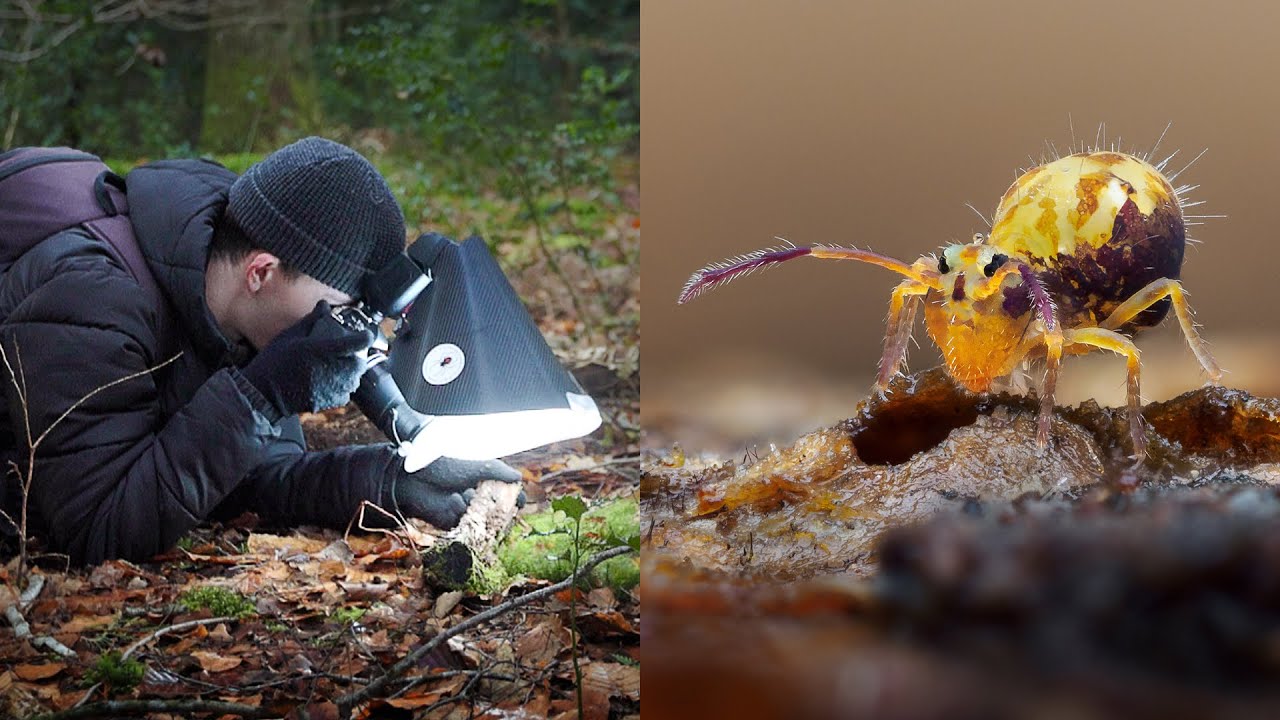 My First Macro Photography Walk Of 2025