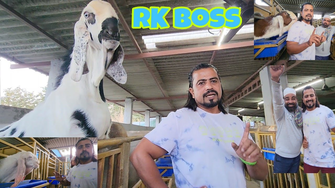 Intezar Hua Khatam | Sabko Jawab Milega With Results | Sach Bolenge | Kuch Nahi Chupayenge | RK Boss