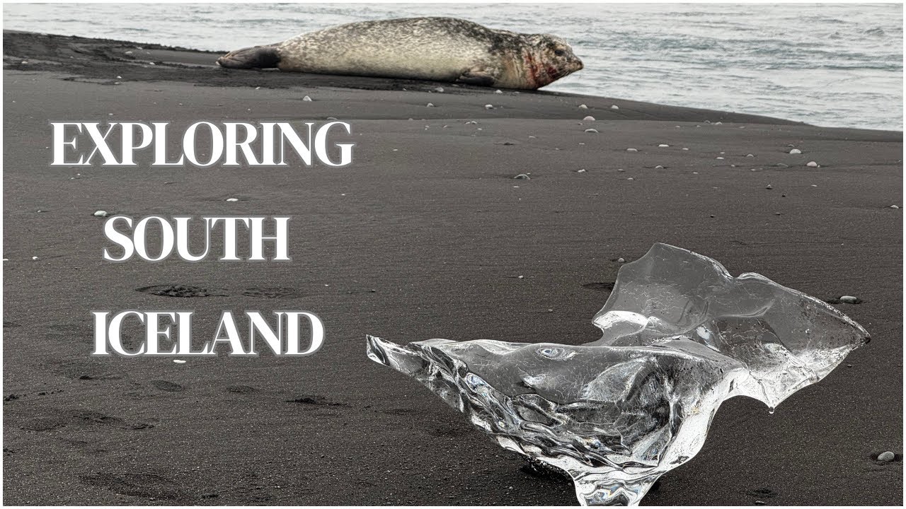 Iceland's South Coast in 2 Days – Waterfalls, Glaciers & Black Sand Beaches