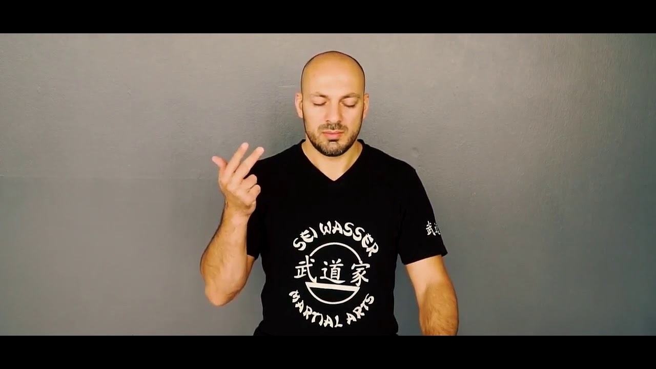 Yasin Seiwasser – MMA-Europameister und Atemtrainer