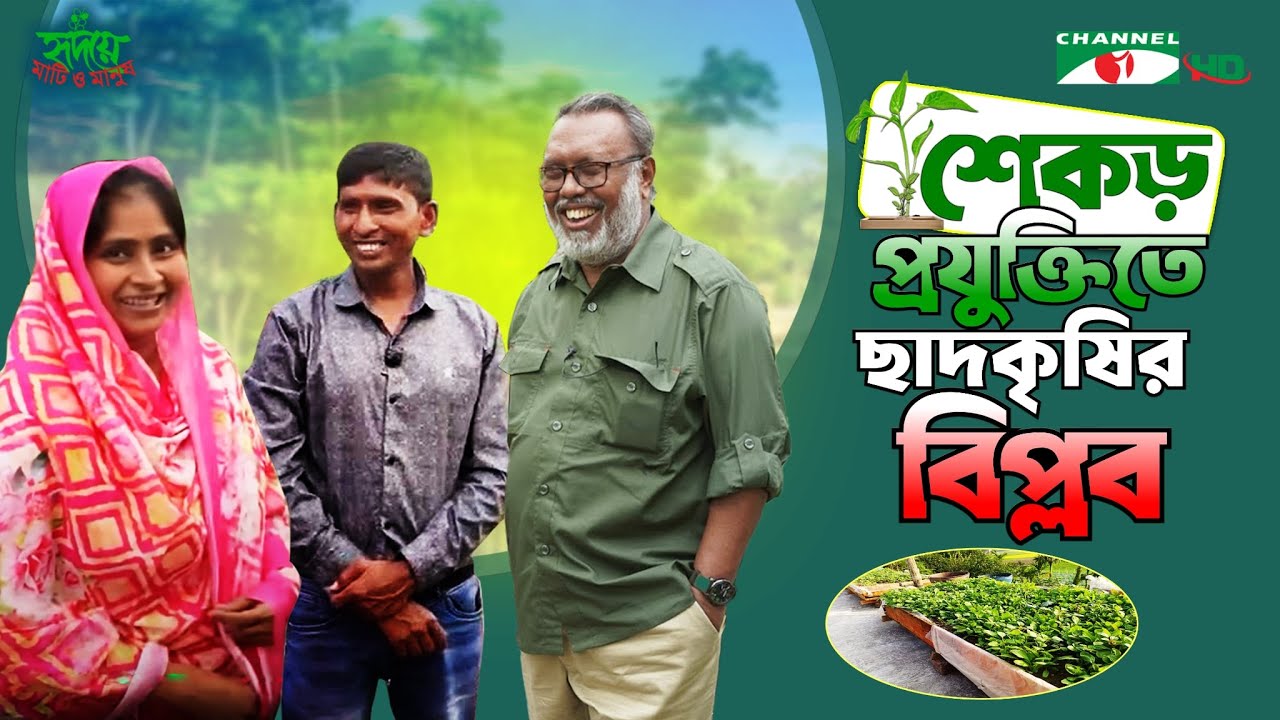 শেকড় প্রযুক্তিতে ছাদকৃষির বিপ্লব: যশোরের ইবাদ আলীর গল্প |  পর্ব ৩৪১ | Shykh Seraj | Channel i |