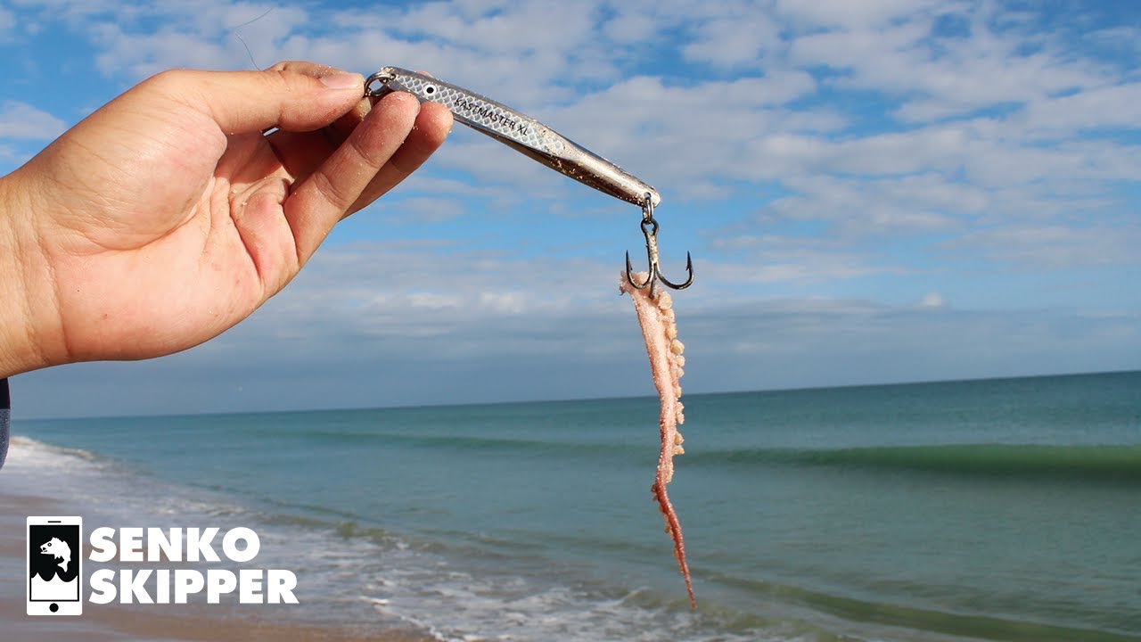 Easiest Lure for Beach Fishing (KastMaster + Squidy Bits)