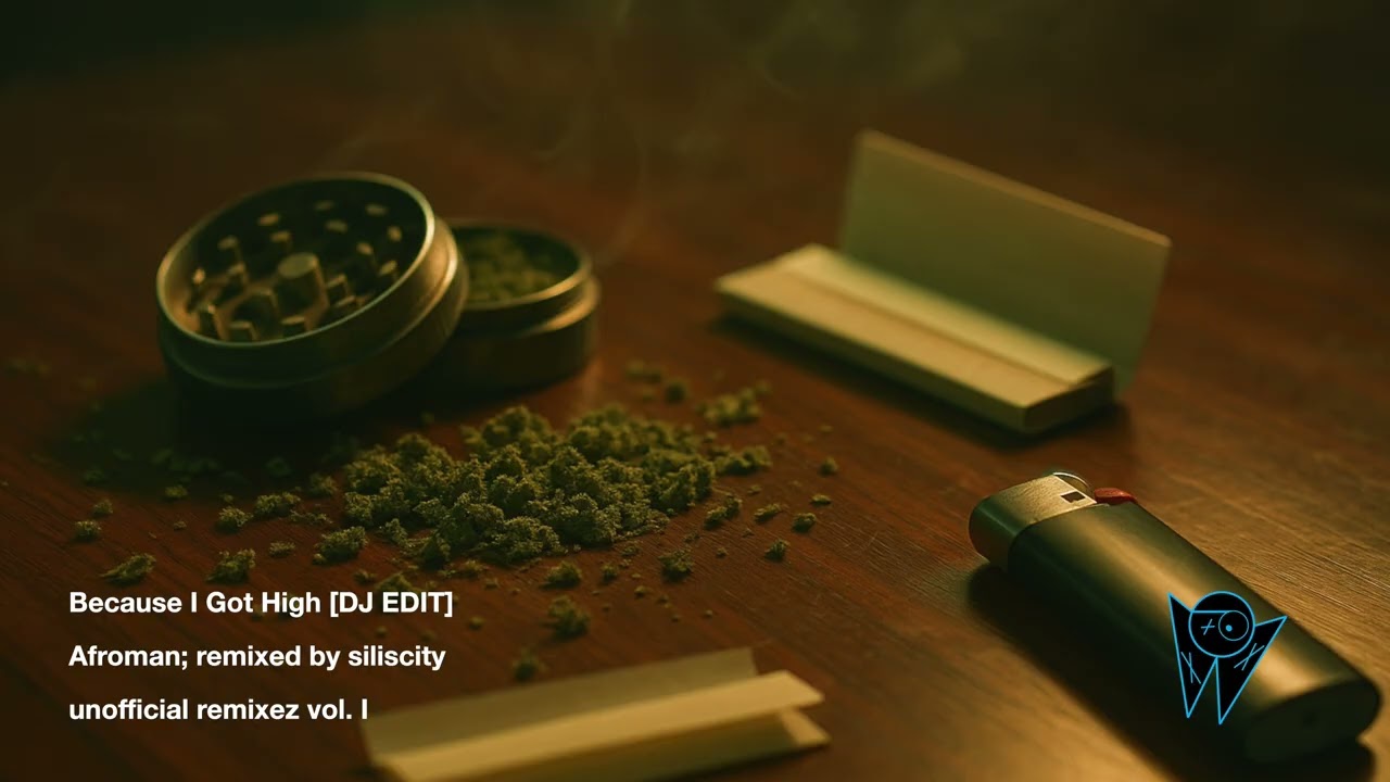 Because I Got High [DJ EDIT] – siliscity