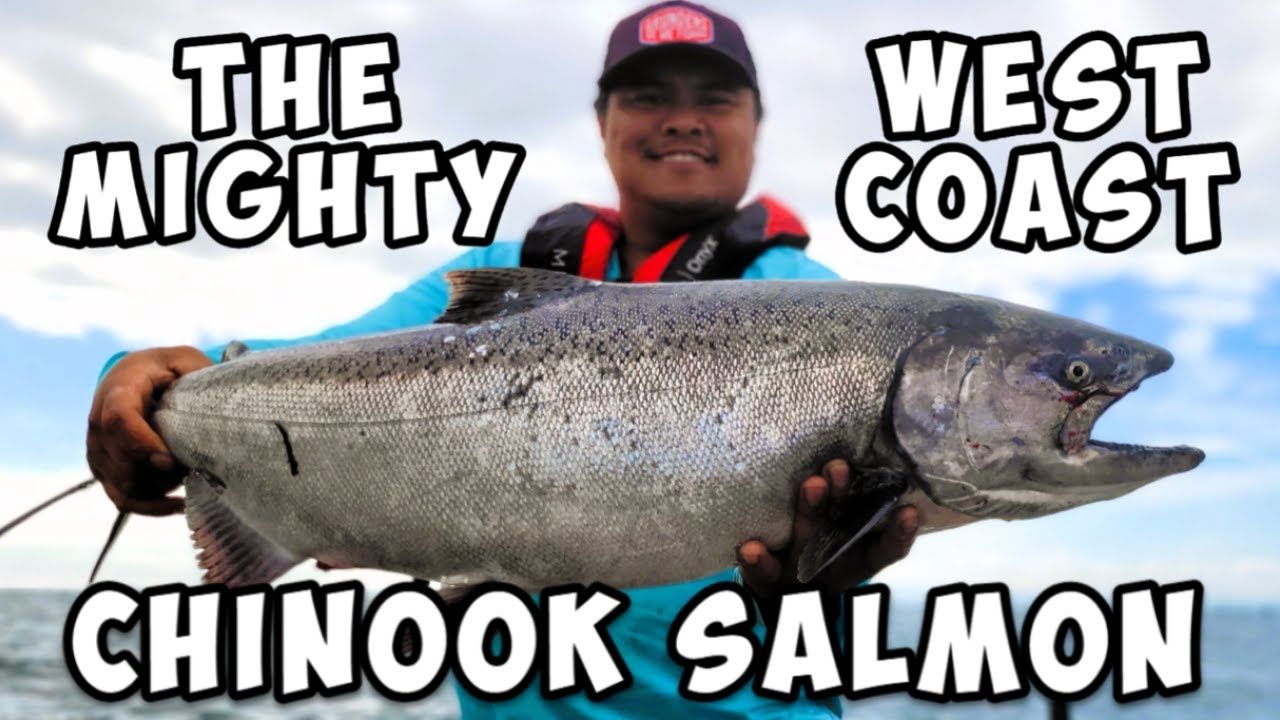 Summer Chinooks! (FULL EPISODE) Fishing Sand Heads BC. We lost so many! #fishing #salmon #summer