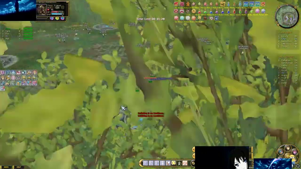 Insanity FlyFF siege | Abi