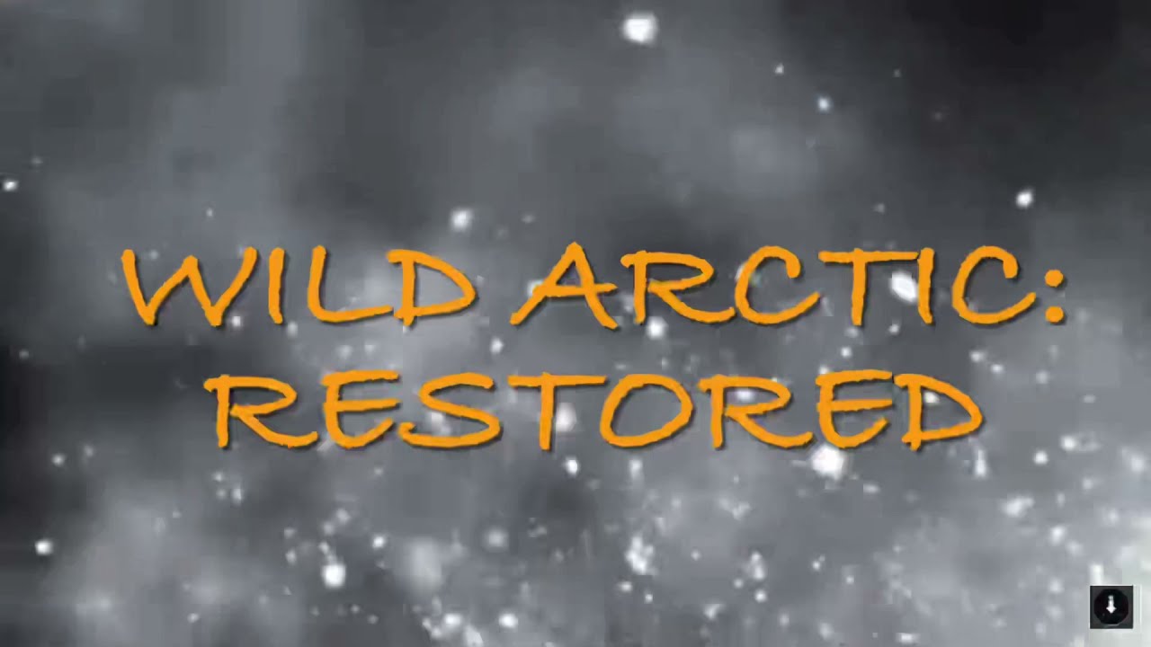 Wild Arctic: Restored