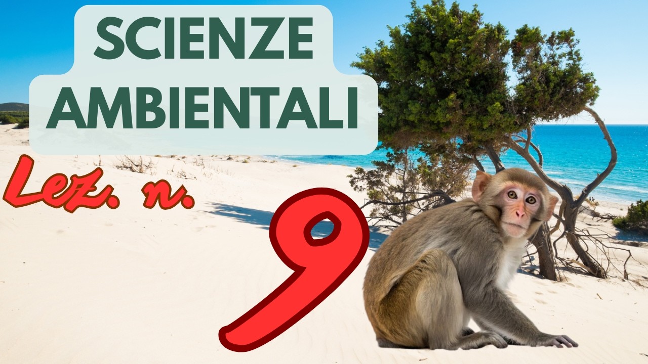 Scienze Ambientali, Lezione n.9: Le fasce fitoclimatiche