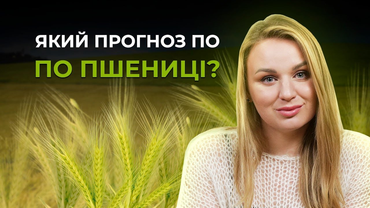 ЩО ПО ПШЕНИЦІ В ХАЗЯЙКИ СТЕПУ? #хазяйкастепу