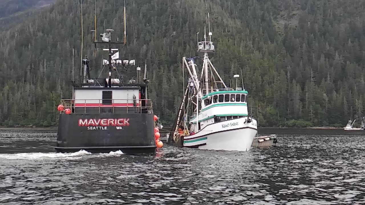 Deadliest Catch Superstar F/V Maverick Tendering Dog & Pink Salmon Southeast Alaska Purse Seining