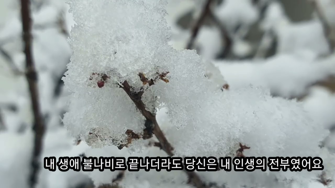 아름다운 사랑//작사☞초영 김성일 +suno ai 