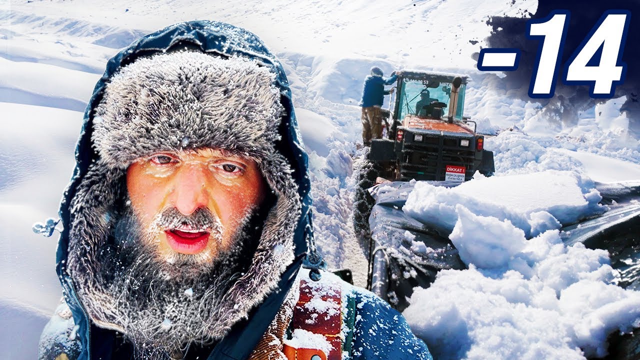 Выжить 6 дней в метели: расширяя границы возможного при -14°C | Мистер Дикая природа 8K