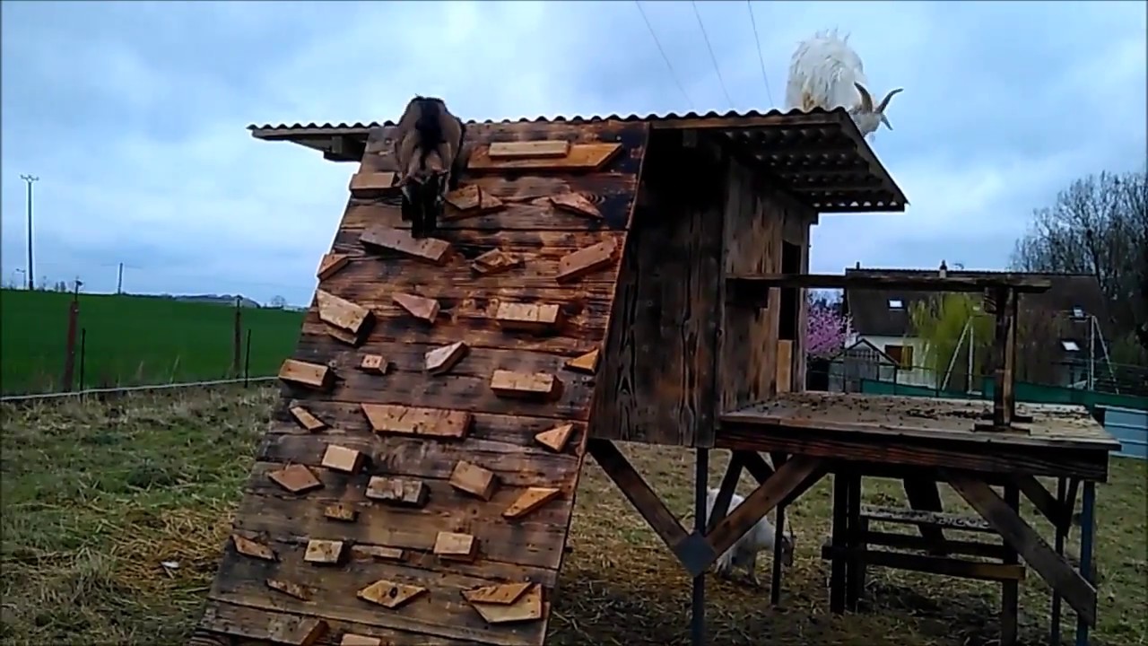 Comment construire un abri pour les chèvres