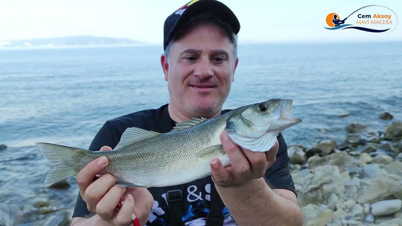 LEVREK AVI, Tekirdağ Levrek Avı Kampımız, WTD Yöntemi, Su Üstü Sahte Levrek Avı, Balık Avı