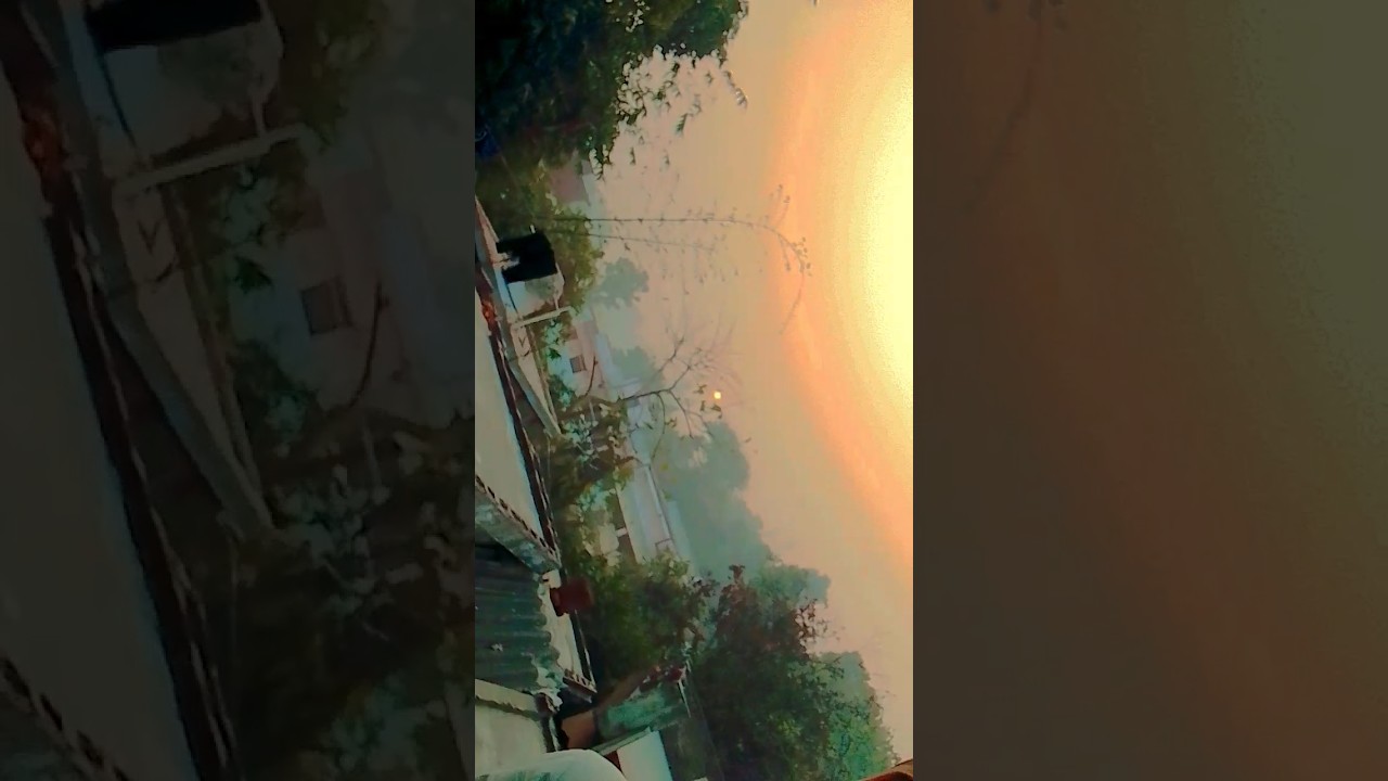 Chanp ke reel banaib ho 