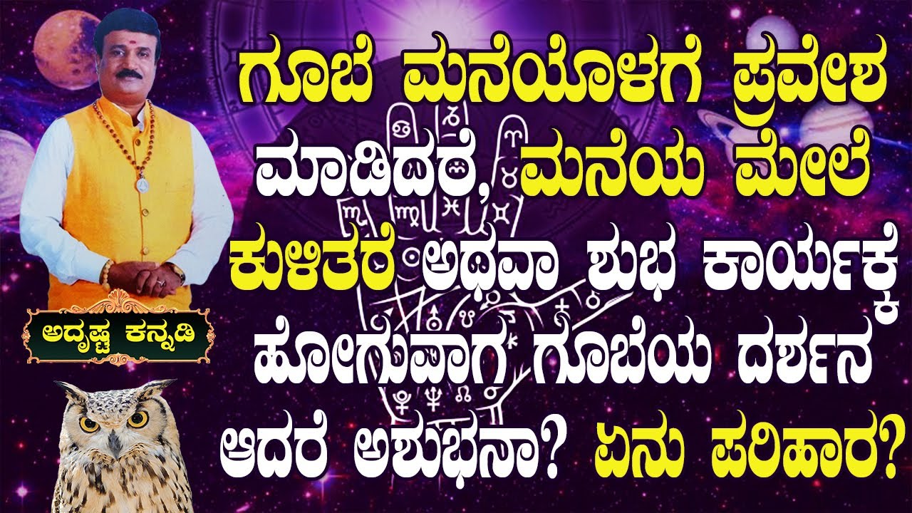 If an Owl Enters House or Sits on House Then, What Does It Indicate?- Remedies:AdithyaNarayan Guruji