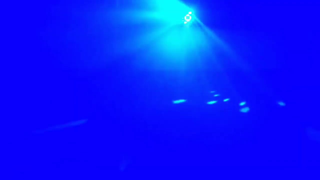 Disco light || Disco light DJ light Animation Effect Green Screen Video