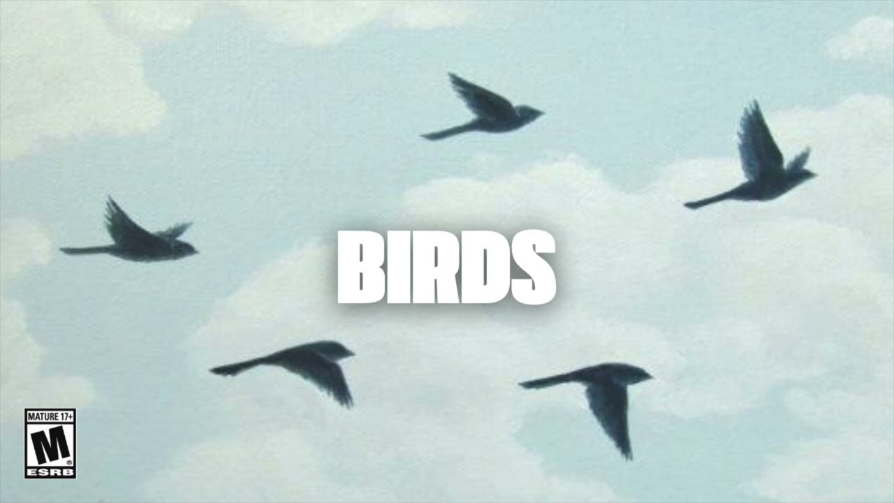 FREE Happy & Melodic Guitar Type Beat - "Birds" | Feel Good Instrumental 2025