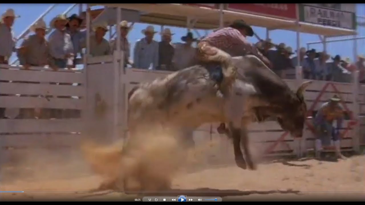8 Seconds Cowboy Up!