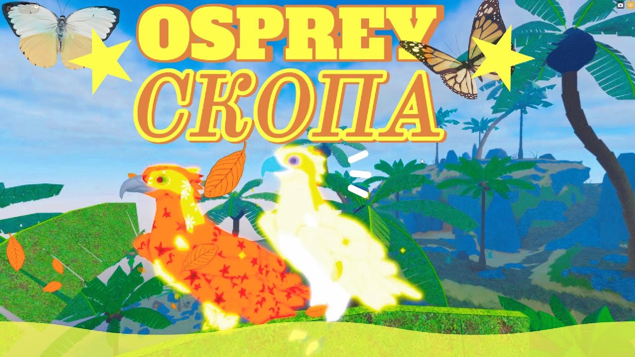 🐤СКОПА (Новая Птица 2024) Семья Птиц Роблокс 🐤Feather Family OSPREY