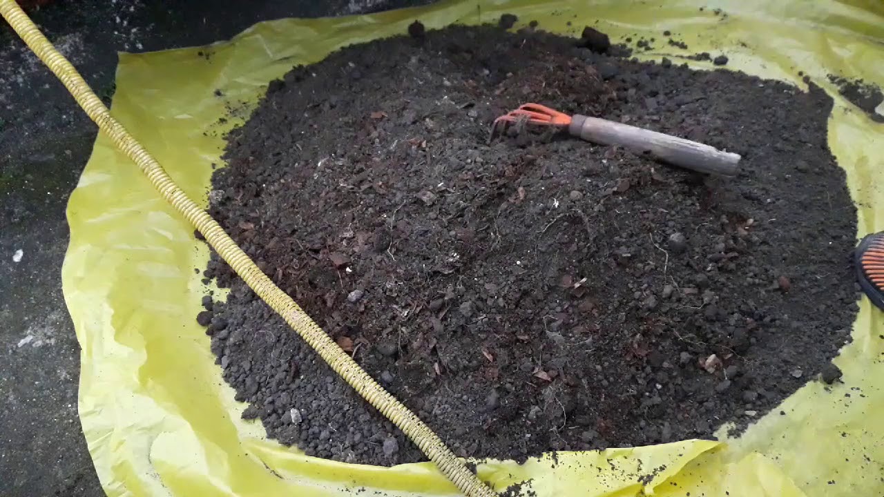 Como restaurar a terra do vaso, voltando a plantar