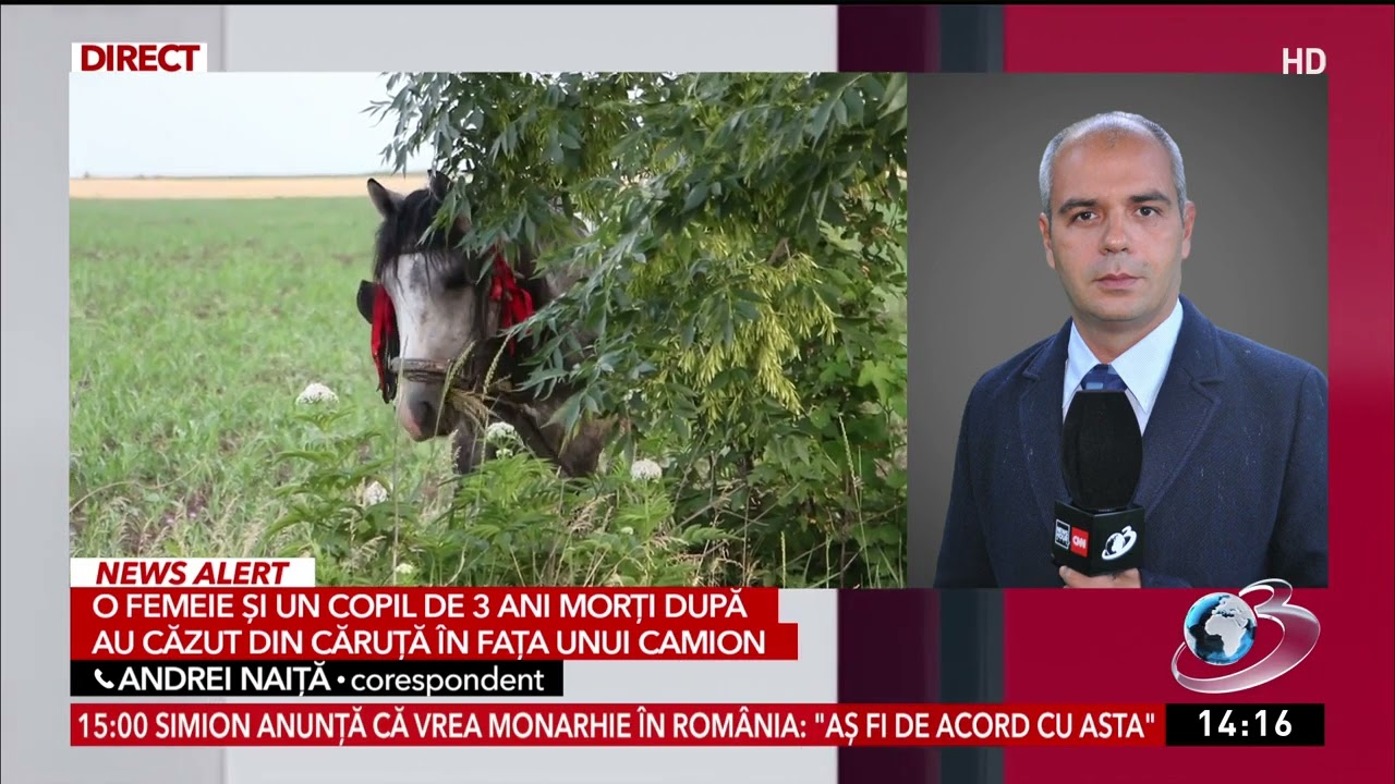 O femeie și un copil au murit după ce au căzut din căruță și au fost loviți de un camion