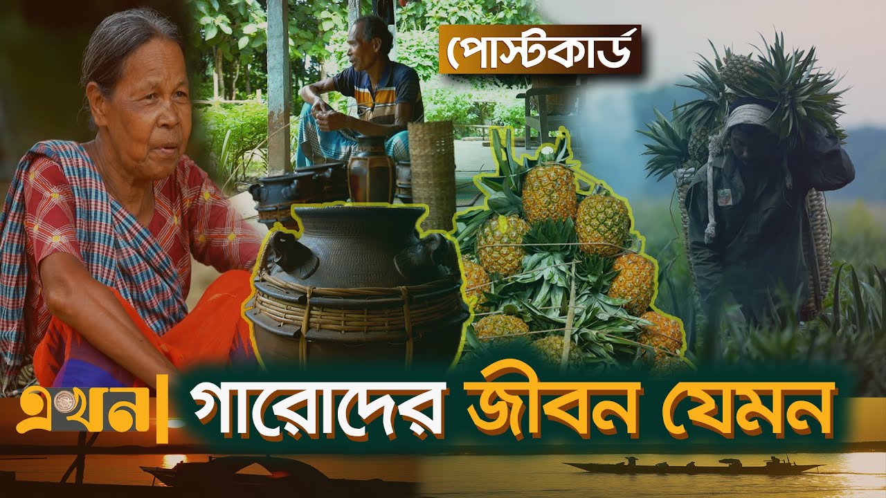 আনারসের স্বর্গরাজ্য টাঙ্গাইলের মধুপুর | Documentary Of Tangail | Tribal News | Ekhon TV Documentary