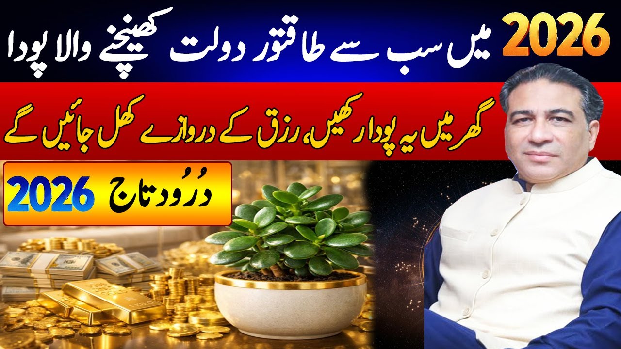 The Most Powerful Money Attracting Plant of 2026 | Syed Haider Jaffri Prediction