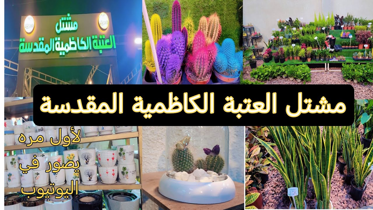 تعالو نشوف شنو موجود في مشتل العتبة الكاظمية المقدسة ♥️جولة مع سالي 🌸