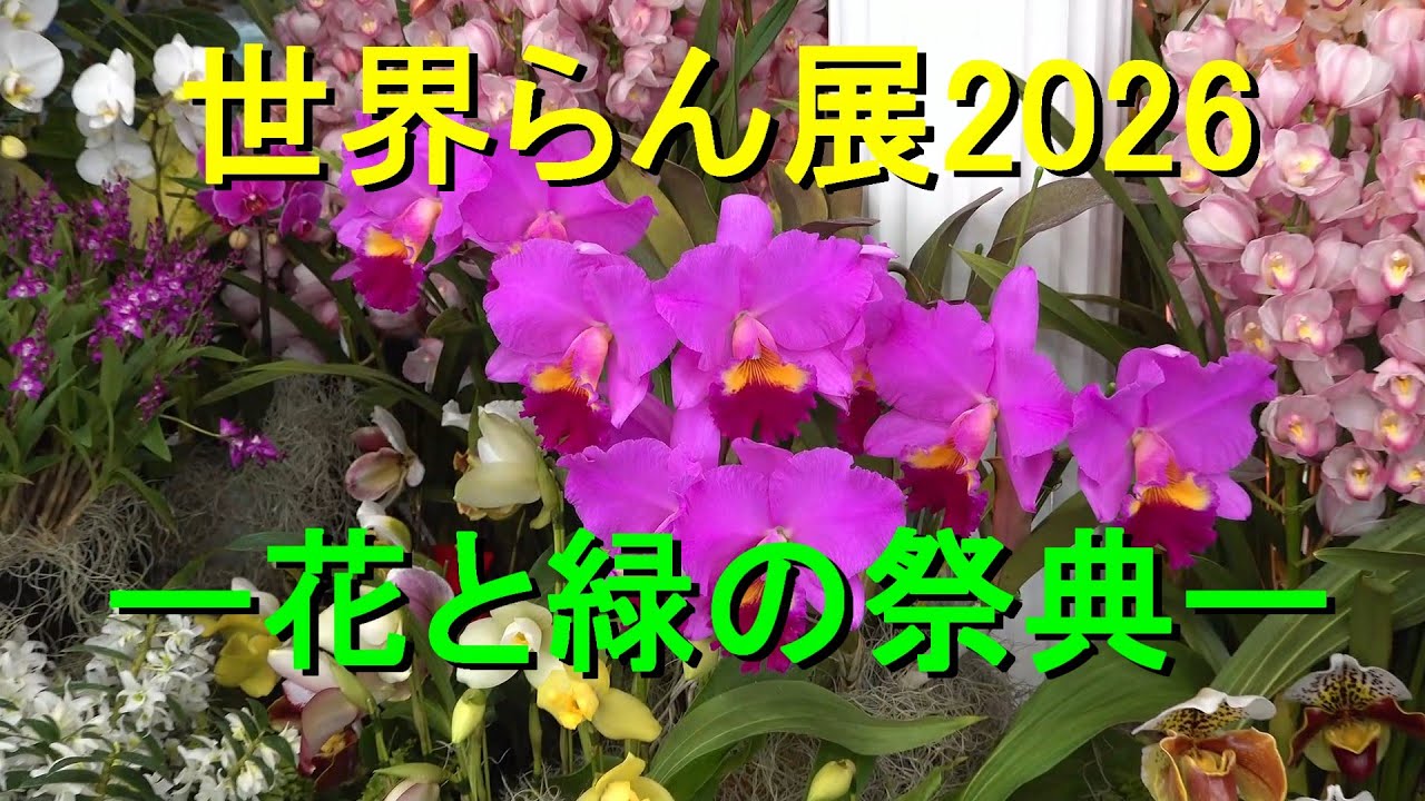 ［4K］世界らん展2026　ー花と緑の祭典ー  Japan Grand Prix  International Orchid and Flower Show 2026