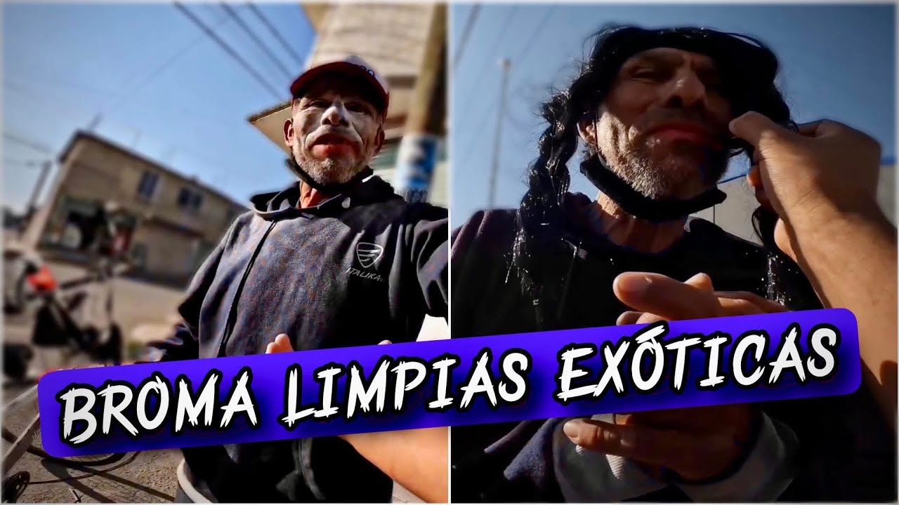 Broma limpias ex&oacute;ticas