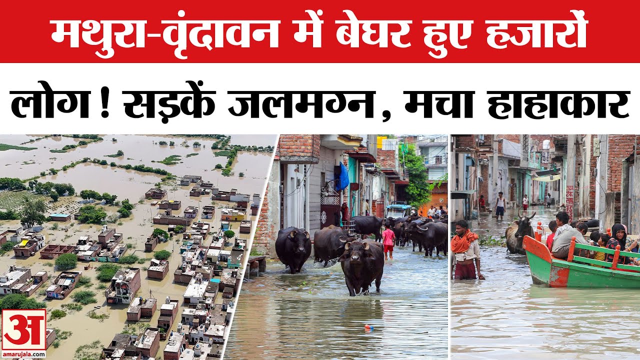 Mathura-Vrindavan Flood Update: मथुरा-वृंदावन में बाढ़ का प्रकोप, जलमग्न हुए कई इलाके | Heavy Rain