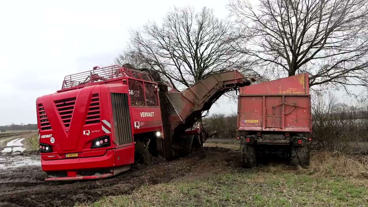 VERVAET Q 621 auf Raupenfahrwerk beim Zuckerrüben roden, mit an Board.
