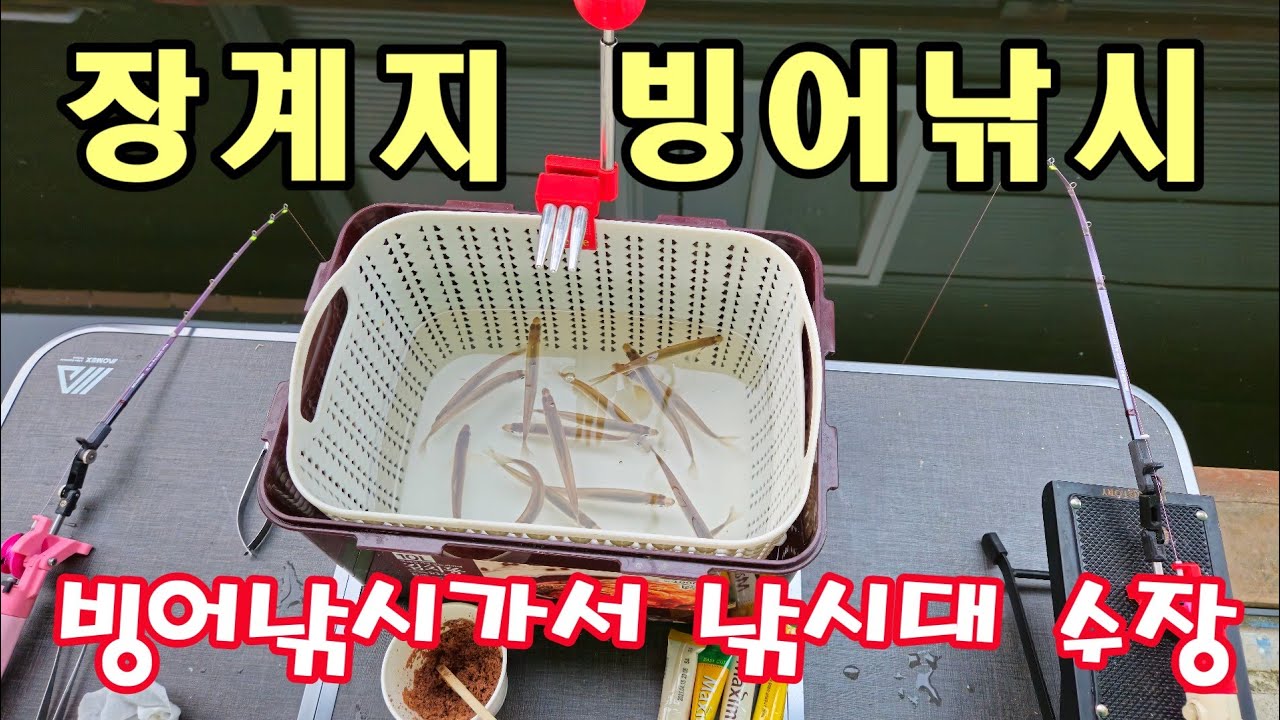 장계지 빙어낚시가서 낚시대 물에 퐁당  낚시대 건지기 #빙어낚시
