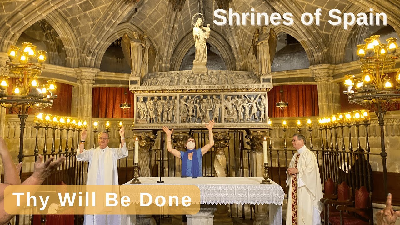 Thy Will Be Done #homily | Matthew 6:7-15