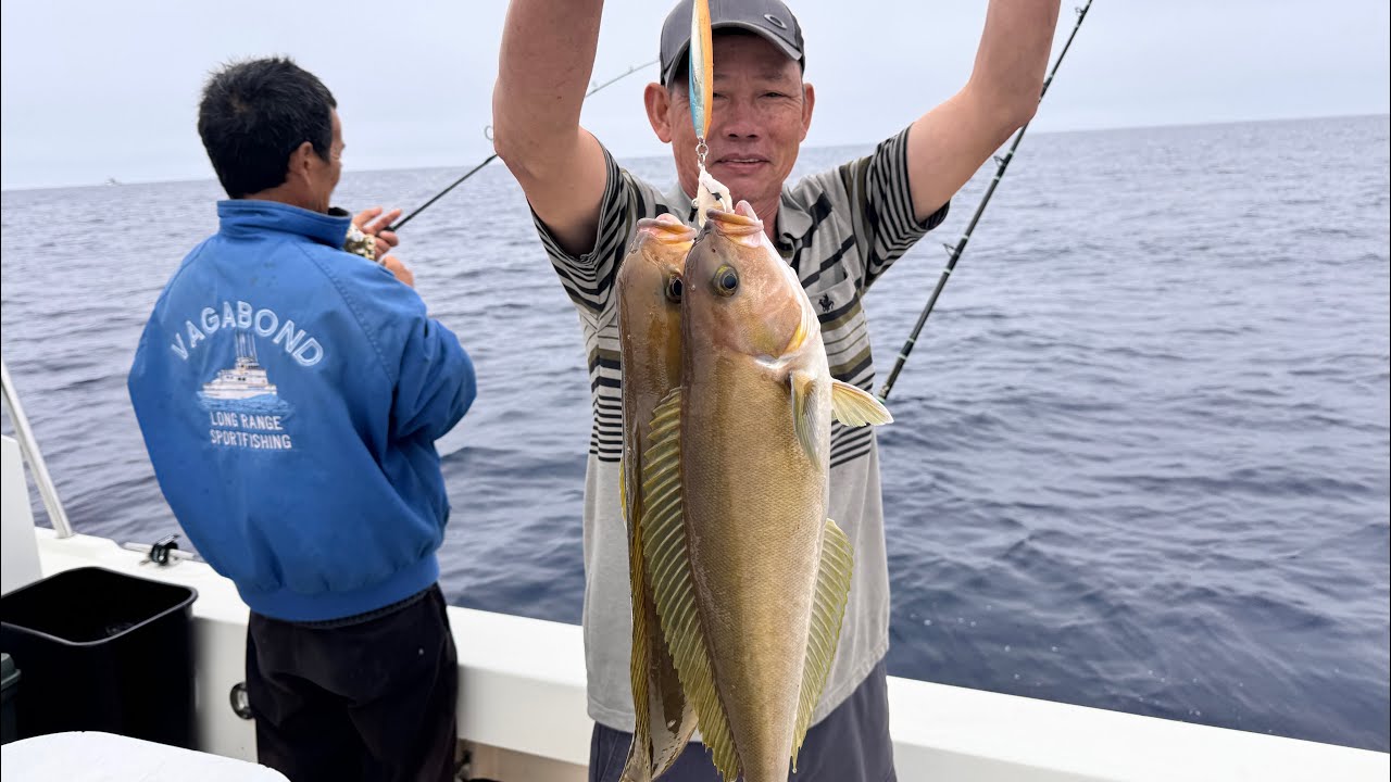 Non-Stop Action! Fishing at Santa Barbara Island