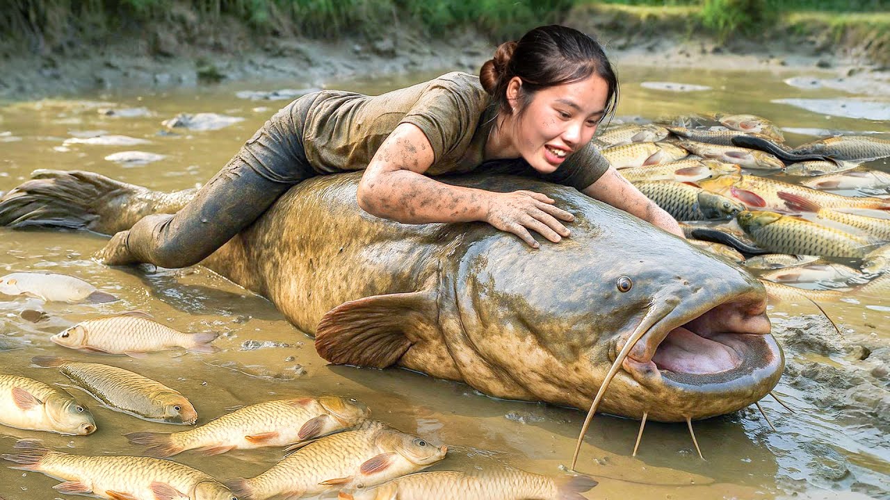 Catching Giant Catfish and Carp in the Mud by Hand to Make Smoked Fish for Long-term Preservation