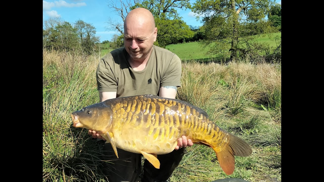 Carp fishing - The Syndicate lake part 2 - a hectic session!!