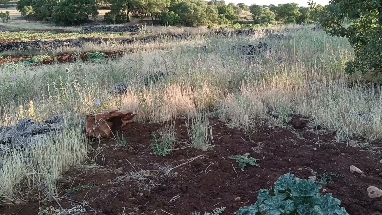 Mardin Ömerli köyleri Tekkuyu köyü mermare