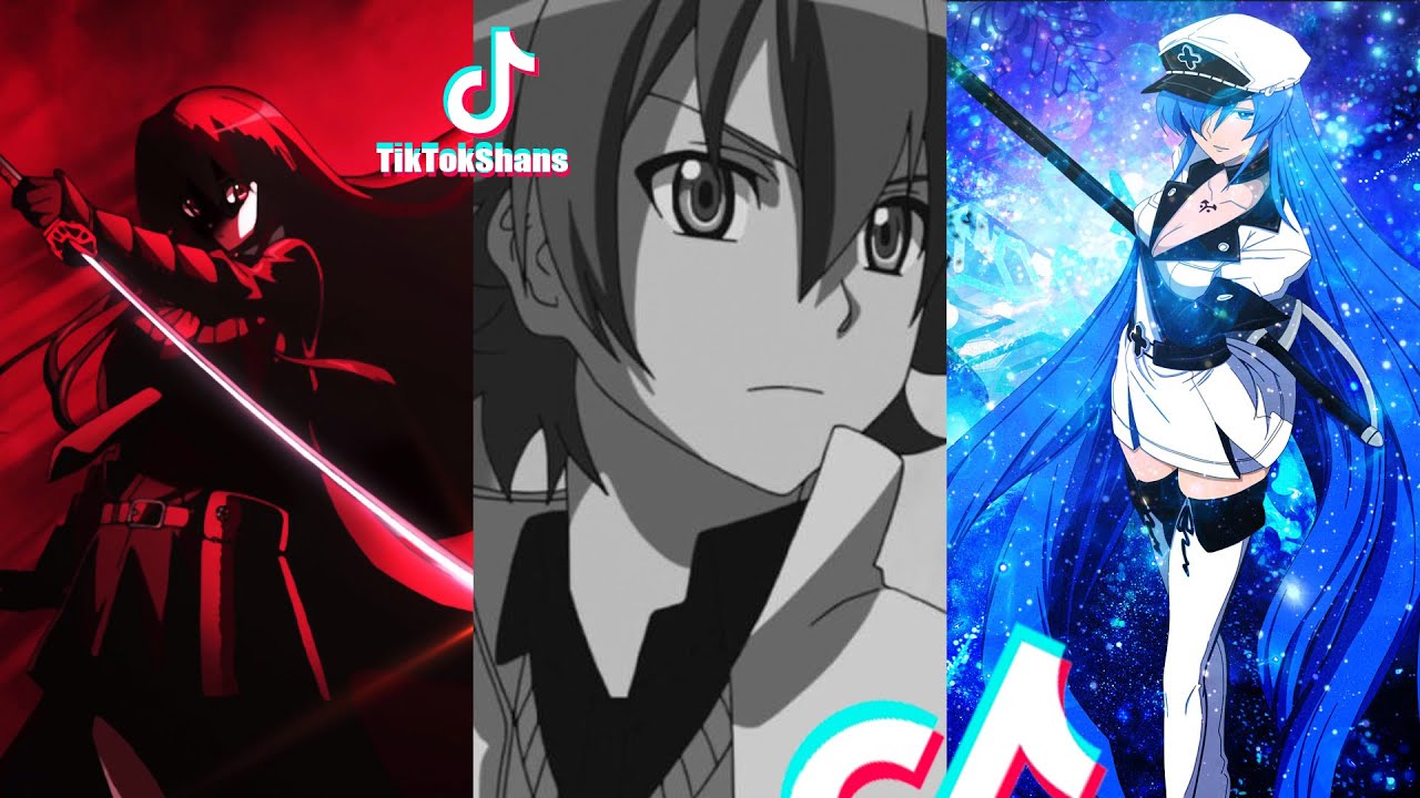 Аnime Akame ga Kill! TikTok Compilation