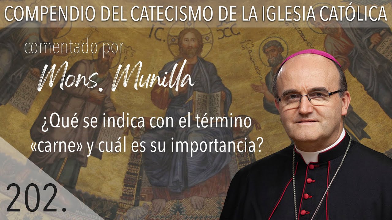 nº 202 ¿Qué se indica con el término 