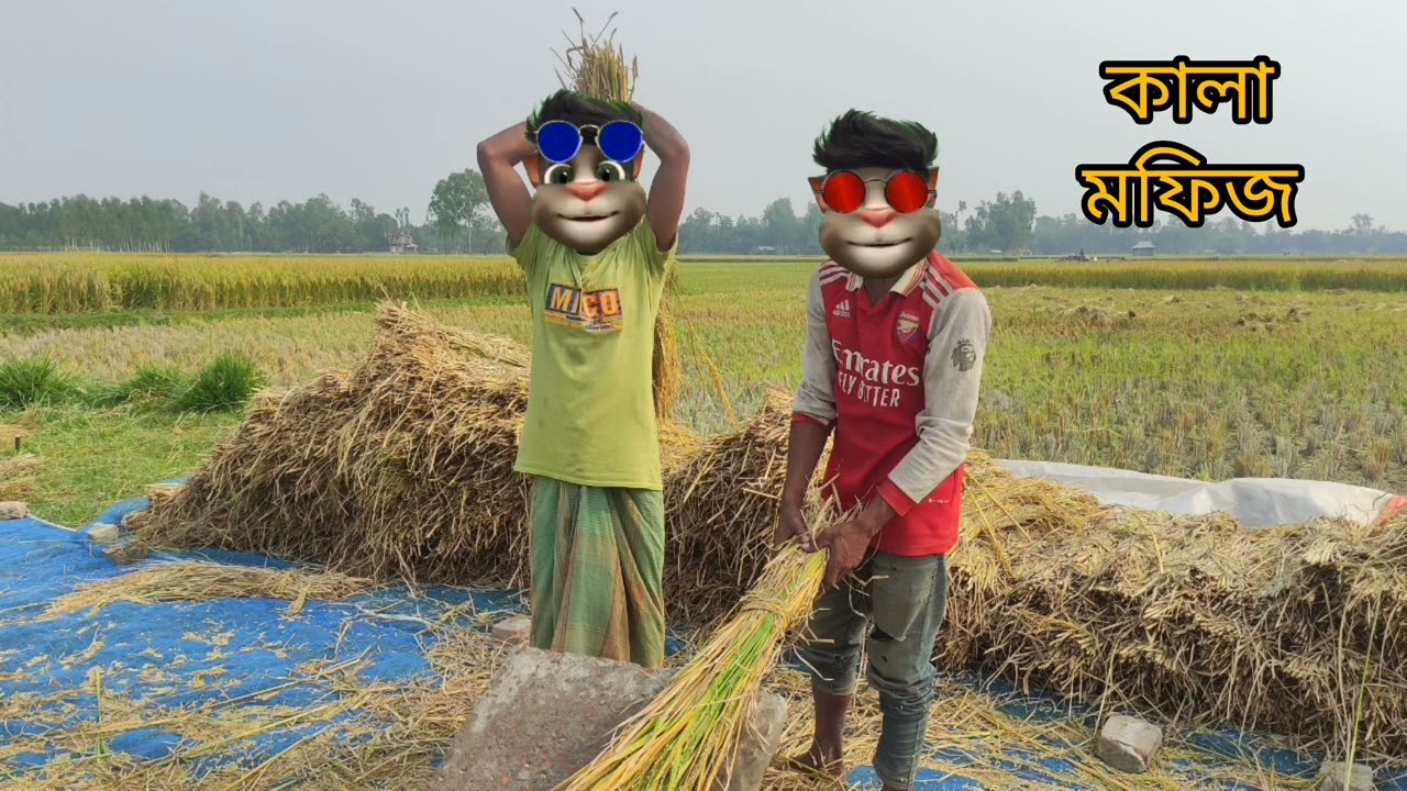 ‎ইরি ধান মারা নিয়ে ঝগড়া|Talking Tom Bangla Funny Video |Talking Tom Bangla Comedy Video |‎