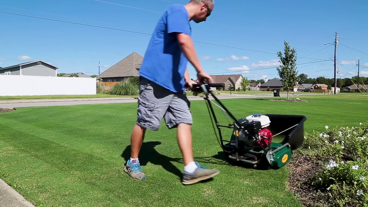 California Trimmer 20
