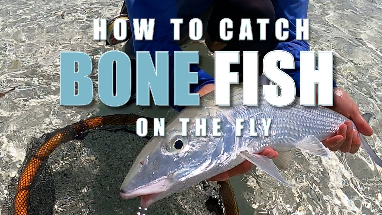 How To Catch Bonefish on The Fly